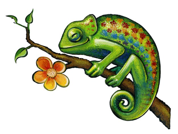 Photo chameleon illustration