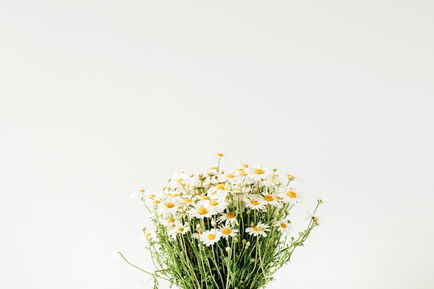 Chamomile daisy flowers bouquet on white surface