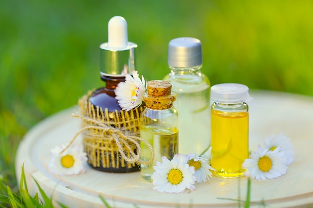 Chamomile Essential Oil –