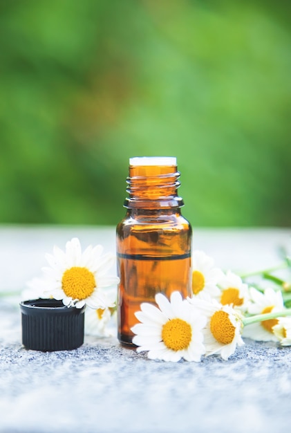 Chamomile essential oil in a small bottle. Selective focus. nature.