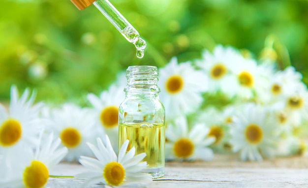 Chamomile essential oil in a small bottle. Selective focus. Nature.