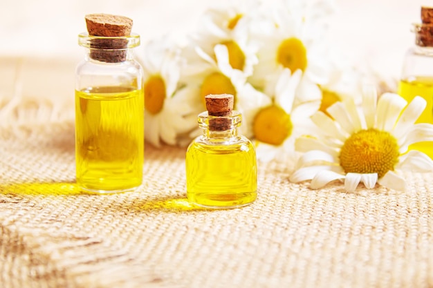 Chamomile essential oil in a small bottle Selective focus