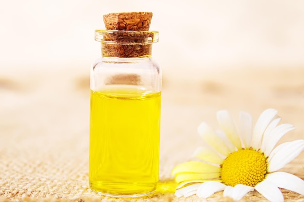 Chamomile essential oil in a small bottle Selective focus