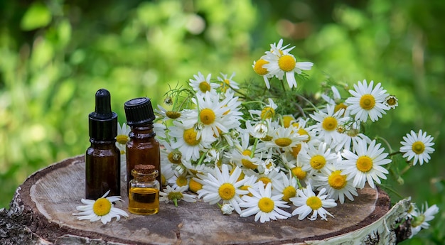 Chamomile essential oil on a wooden background. Selective focus