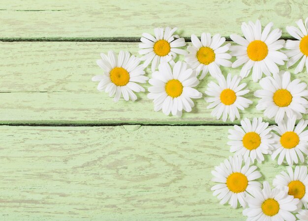 Foto fiore di camomilla sopra spazio in legno blu