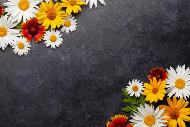 Sfondo di fiori di camomilla margherita del giardino