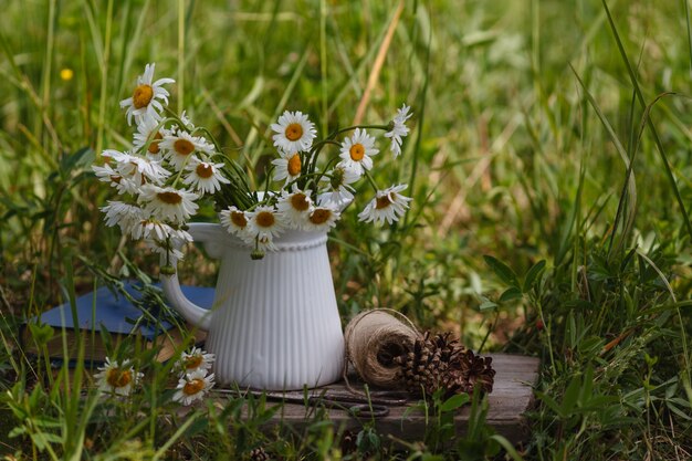 Chamomile flowers  on book on table in park