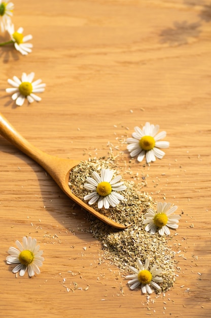 Chamomile flowers and chamomile tea