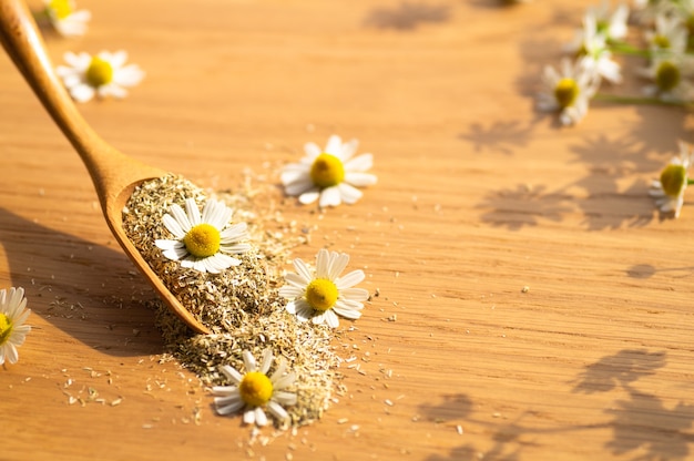 Chamomile flowers and chamomile tea