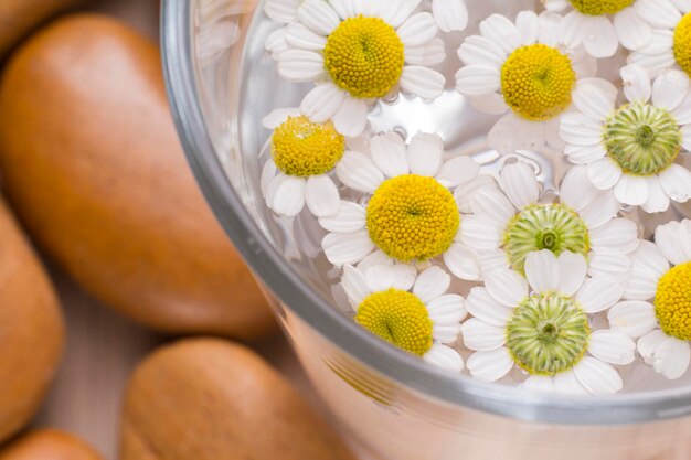 写真 コップ一杯の水の中のカモミールの花、上面図