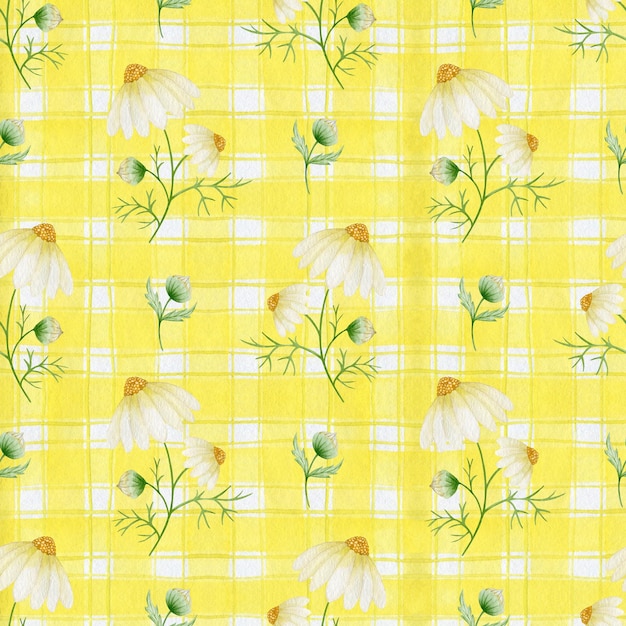 Chamomile flowers watercolor seamless pattern