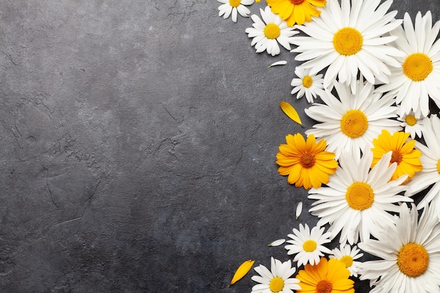 Chamomile garden flowers on stone background