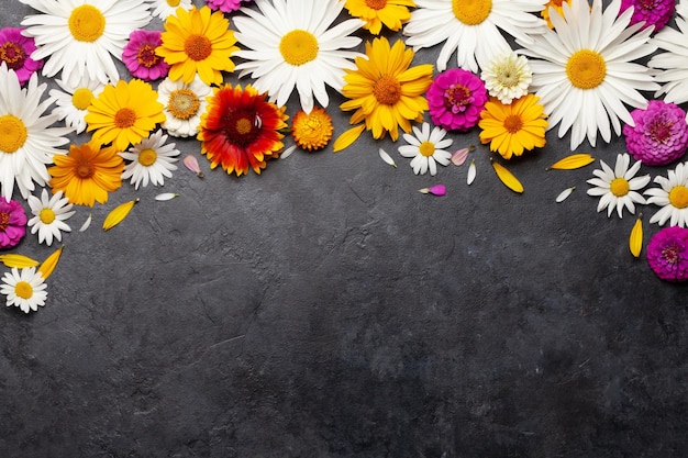 Chamomile garden flowers on stone background