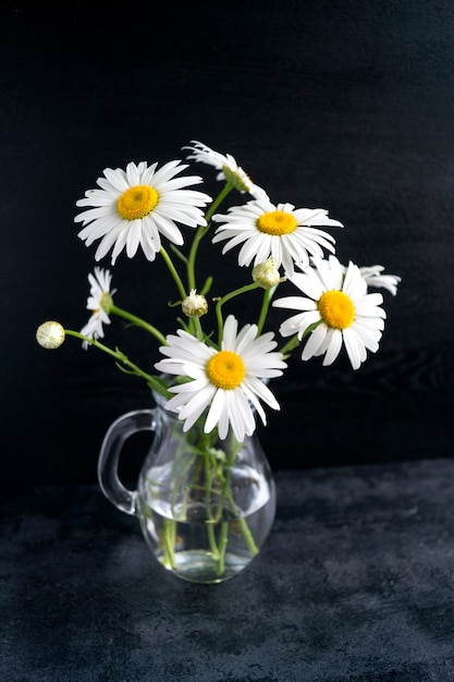 Chamomile in glass pitcher on a black background.