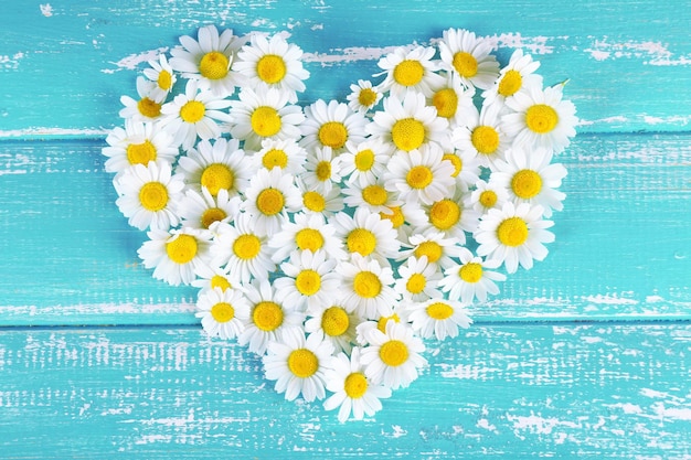 Chamomile in shape of heart on color wooden background