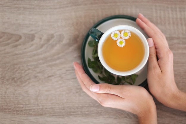 カモミール茶を皿の上に置いて女性の手をクローズアップに上から見る家庭用茶会コンセプト