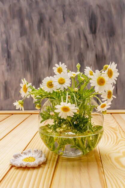 Chamomile tea. Fresh flowers, summer hot drink concept. Alternative medicine, lifestyle