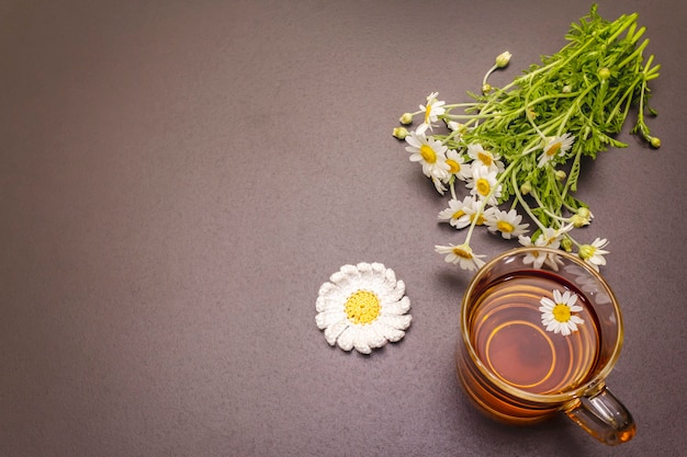 Chamomile tea. Fresh flowers, summer hot drink concept. Alternative medicine, lifestyle