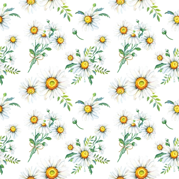 Chamomile watercolor seamless pattern summer flowers on gray background Watercolour illustration