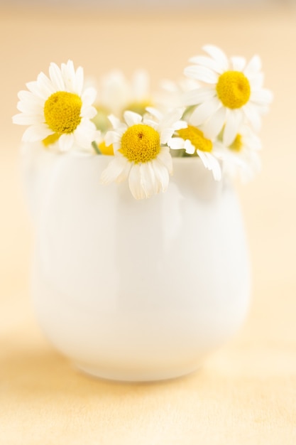 Chamomiles in white cup on wooden table. Herbal tea. Side view.Vertical photo