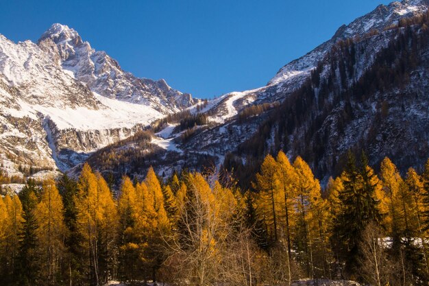 Chamonixhaute savoiefrance