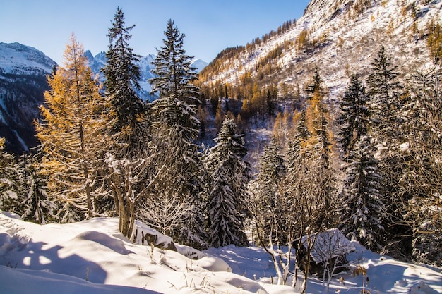 Chamonixhaute savoiefrance