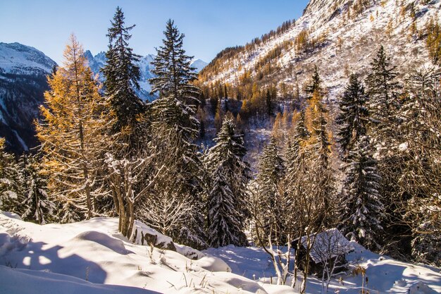 Chamonixhaute savoiefrankrijk