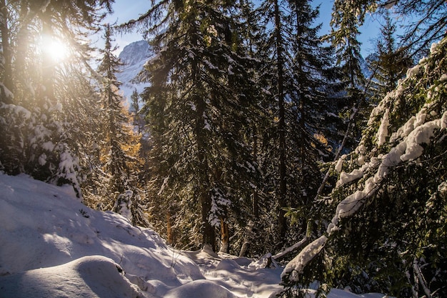 Chamonixhaute savoiefrankrijk