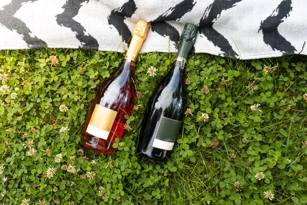 Champagne bottles on the grass