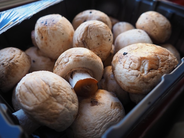 Champignon in black plastic packaging Mushrooms in an opened store packaging