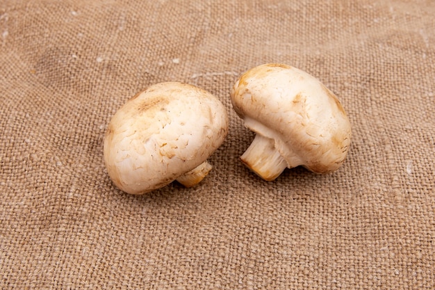 Champignon champignon geïsoleerd op bruine jute