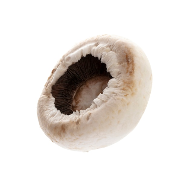 Champignon isolated on a white background