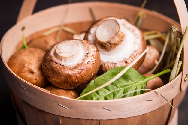 Champignon Met Groene Basilicum