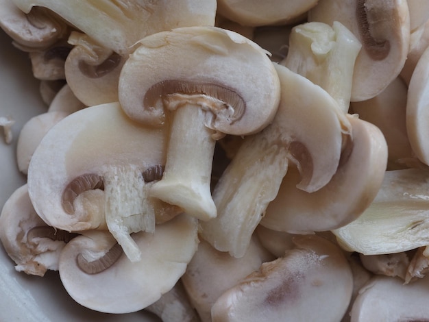 Champignon mushroom food