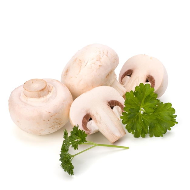 Champignon mushroom and fresh parsley