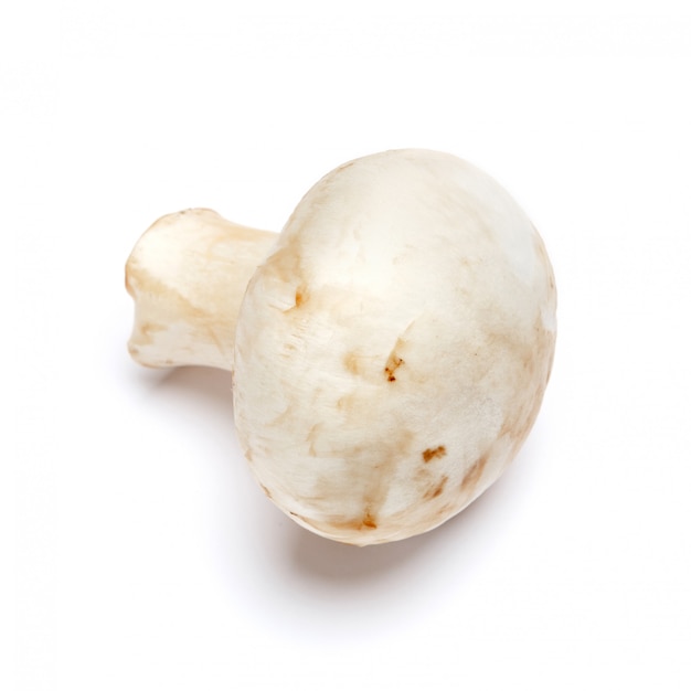 Champignon mushroom isolated on white