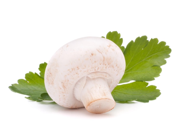 Champignon mushroom and parsley leaves