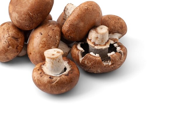 흰색 배경에 고립 된 샴 피 뇽 버섯 복사 공간 갈색 젖은 버섯