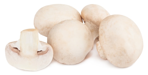 Champignon mushrooms isolated