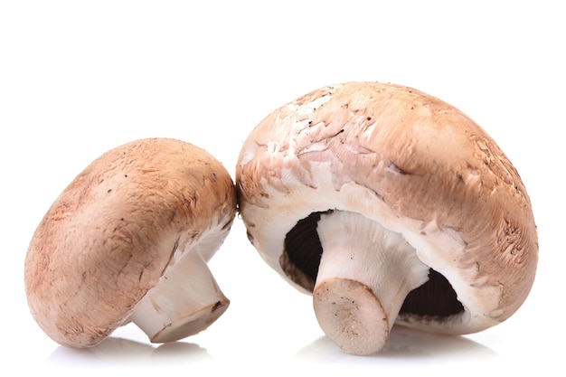 Champignon mushrooms on white