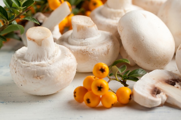 Champignon mushrooms