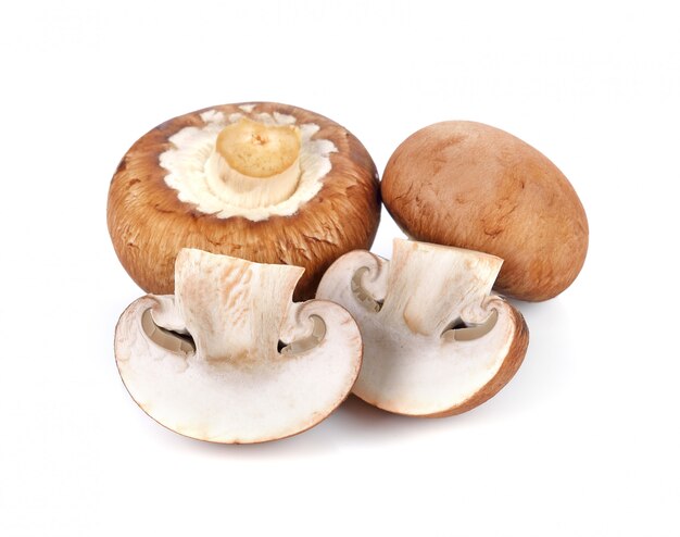 Champignonpaddestoelen die op wit worden geïsoleerd