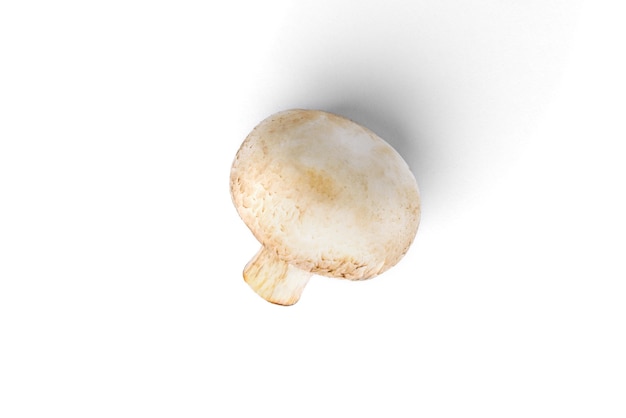 Champignonpaddestoelen die op witte achtergrond worden geïsoleerd.