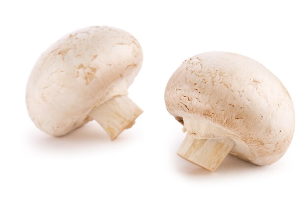 Champignons isolated