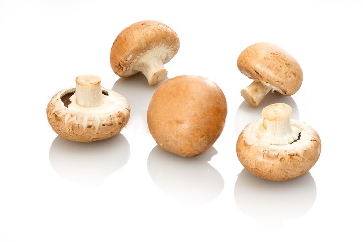 Foto champignons paddenstoelen