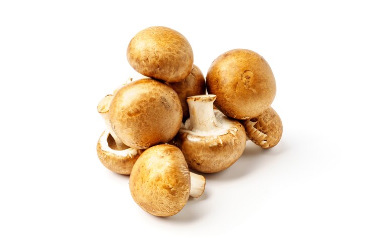 Foto champignons royal, champignons geïsoleerd op een witte muur