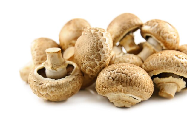 Champignons on white background