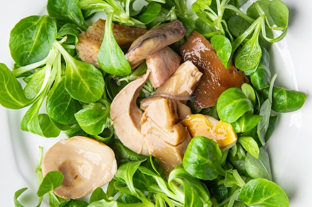 champignonsalade gebeitst plakje snack maaltijd eten op tafel kopieer ruimte voedsel achtergrond rustieke top