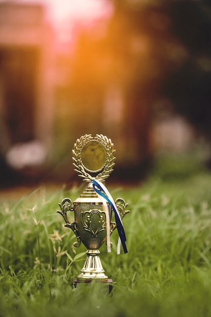 Champion golden trophy placed on ground