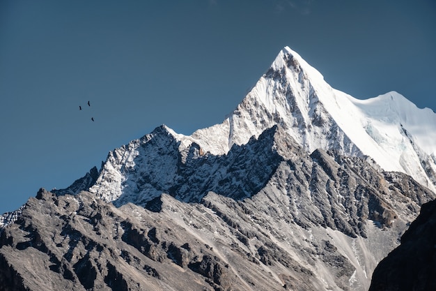 Chana dorje rotsachtige bergpiek met vogels die in blauwe hemel vliegen